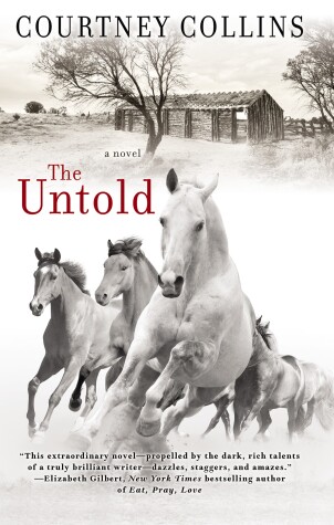 Book cover for The Untold