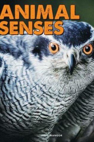 Cover of Animal Senses