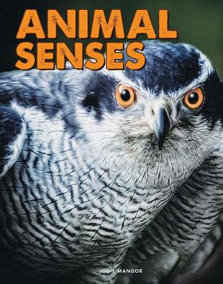 Book cover for Animal Senses