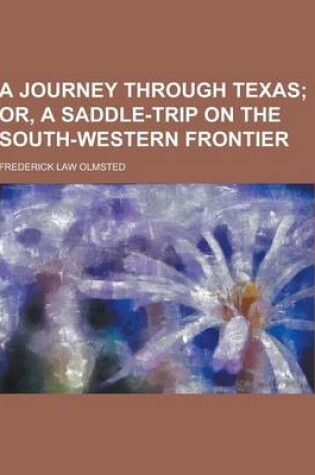 Cover of A Journey Through Texas