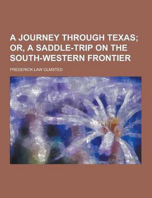 Book cover for A Journey Through Texas