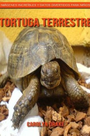 Cover of Tortuga terrestre