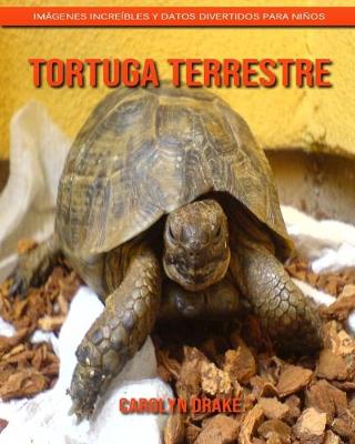 Book cover for Tortuga terrestre