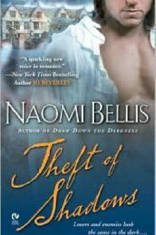 Cover of Theft of Shadows