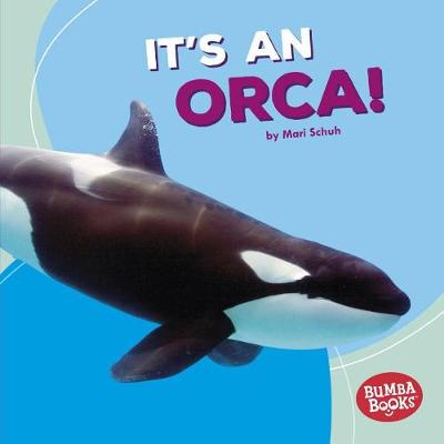 Book cover for It's an Orca!