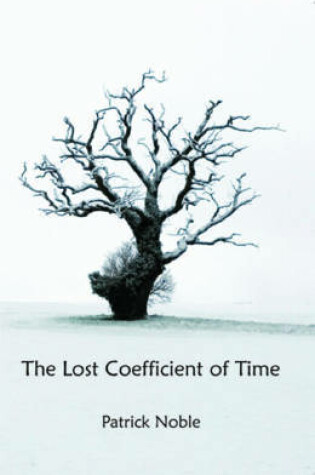 Cover of The Lost Coefficient of Time