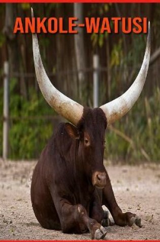 Cover of Ankole-Watusi