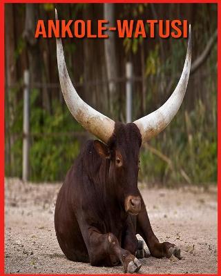 Book cover for Ankole-Watusi