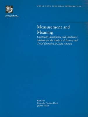 Book cover for Measurement and Meaning: Combining Quantitative and Qualitative Methods for the Analysis of Poverty and Social Exclusion in Latin America