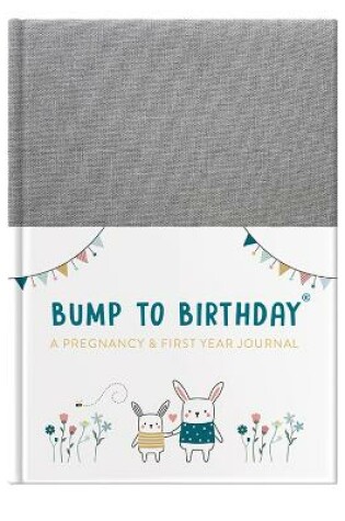 Cover of Bump to Birthday