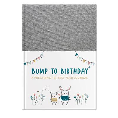 Book cover for Bump to Birthday