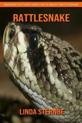 Cover of Rattlesnake