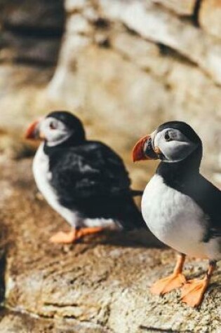 Cover of A Puffin Pair Posing on the Rocks Journal