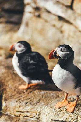 Book cover for A Puffin Pair Posing on the Rocks Journal