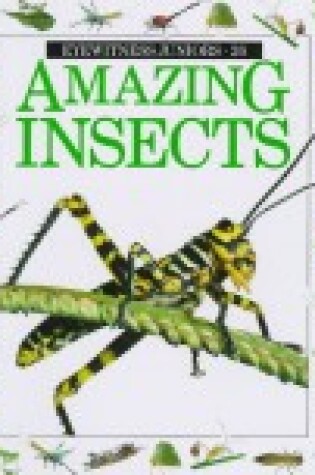 Cover of Amazing Insects