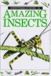 Book cover for Amazing Insects