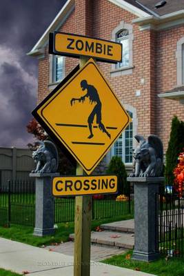 Book cover for Zombie Crossing Journal