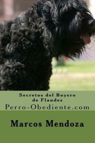 Cover of Secretos del Boyero de Flandes