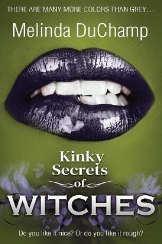 Cover of Kinky Secrets of Witches