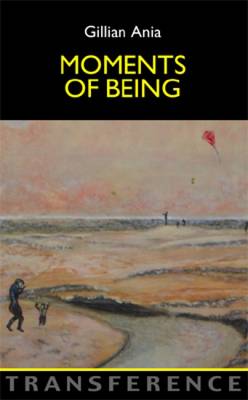 Book cover for Moments of Being