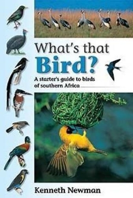 Book cover for What's That Bird?