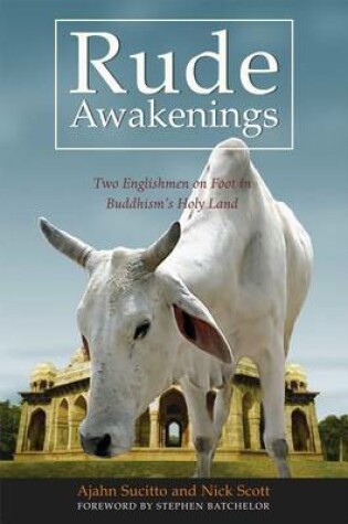 Cover of Rude Awakenings