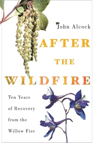 Cover of After the Wildfire