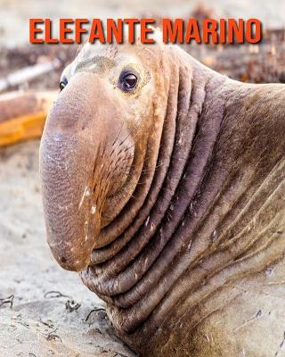 Book cover for Elefante marino