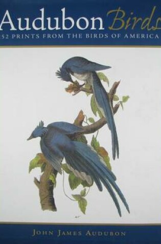 Cover of Audubon Birds