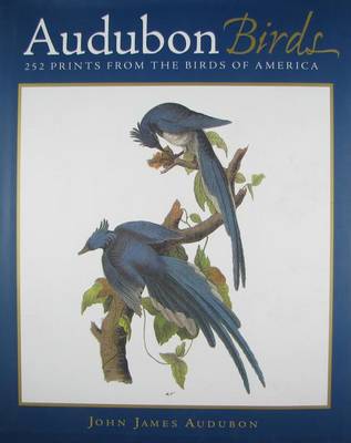 Book cover for Audubon Birds