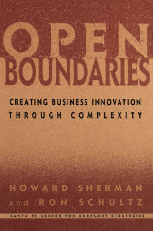 Cover of Open Boundaries