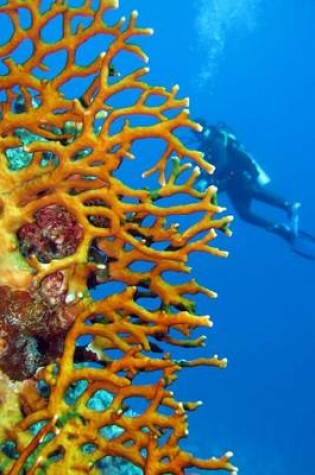 Cover of An Awesome Coral Reef and Scuba Diver Journal