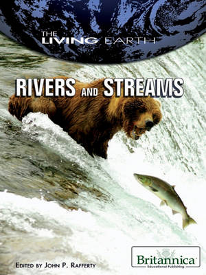 Book cover for Rivers and Streams