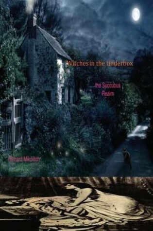 Cover of Witches in the Tinderbox