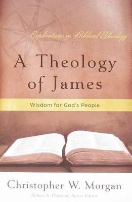 Book cover for Theology of James, A