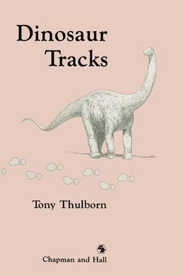 Book cover for Dinosaur Tracks