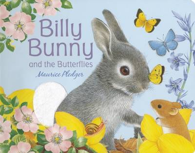 Book cover for Billy Bunny and the Butterflies