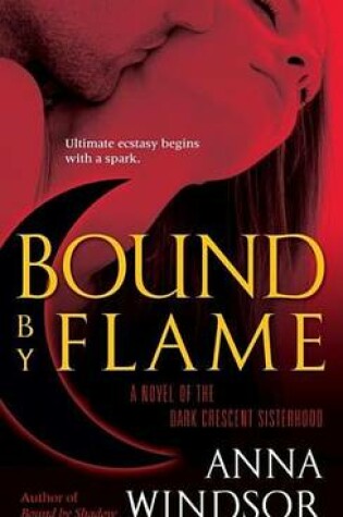 Cover of Bound by Flame