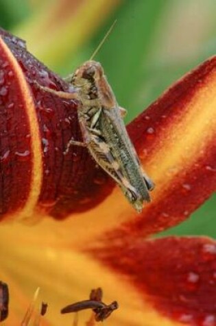 Cover of Grasshopper on a Daylily Flower Journal