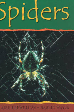 Cover of Spiders