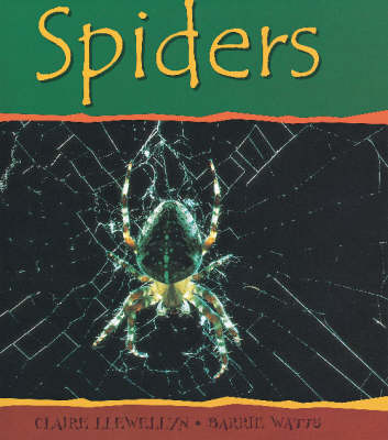 Cover of Spiders