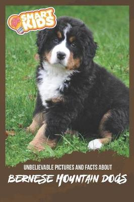 Book cover for Unbelievable Pictures and Facts About Bernese Mountain Dogs