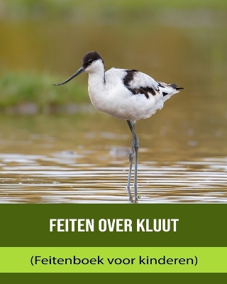 Book cover for Feiten over Kluut (Feitenboek voor kinderen)