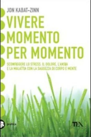 Cover of Vivere Momento Per Momento