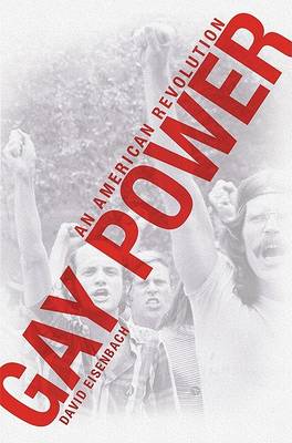 Book cover for Gay Power