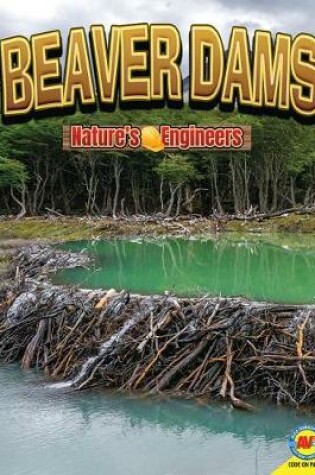 Cover of Beaver Dams