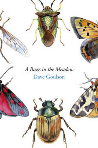 Cover of A Buzz in the Meadow