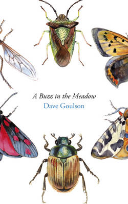 Book cover for A Buzz in the Meadow