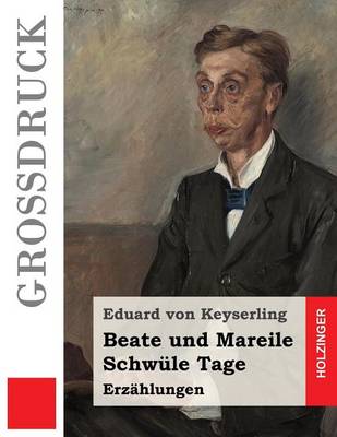 Book cover for Beate und Mareile / Schwüle Tage (Großdruck)