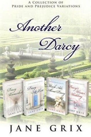 Cover of Another Darcy